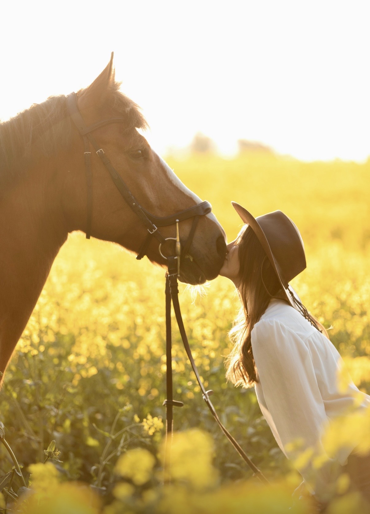 Stimmungsbild Arbeitsweise